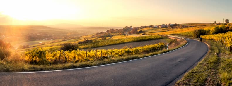 country road sunset molsheim germany 国家公路日落mölsheim德国