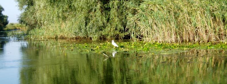 danube delta reasons to visit romania 多瑙河三角洲是去罗马尼亚旅游的理由