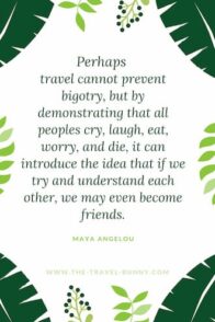 insightful quote about traveling maya angelou 也许旅行不能阻止偏见,但通过展示所有民族的哭、笑、吃、担心和死亡,我们可以介绍这样一种观点:如果我们试着相互理解,我们甚至可以成为朋友。玛雅安杰罗www.theopentour.com文字图纸上的叶子