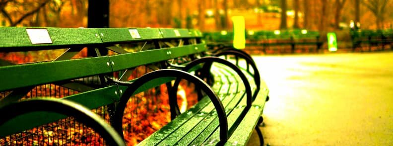 new york city dreamy place to visit with partner 纽约是和伙伴一起去的梦幻之地