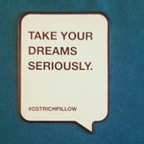 ostrichpillow motto ostrichpillow座右铭