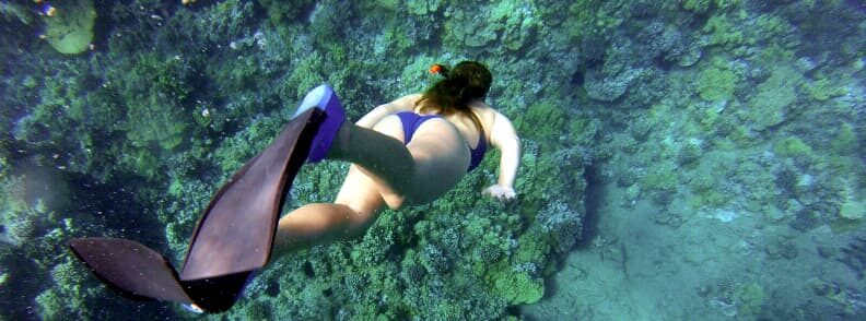 snorkeling marathon day trip from athens 雅典浮潜马拉松一日游