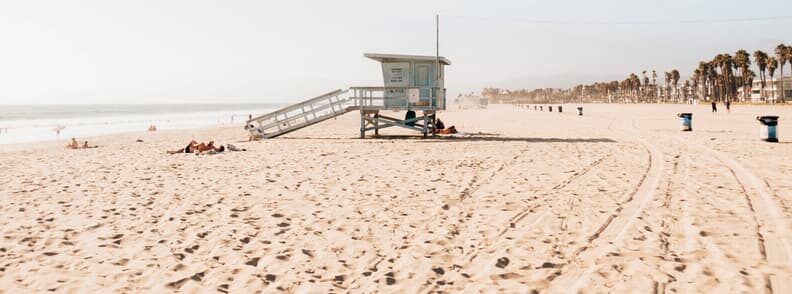 visit venice beach los angeles free things to do 参观威尼斯海滩洛杉矶免费的事情做
